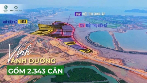 Hơn 2.300 căn nhà của Vingroup tại dự án Hạ Long Xanh đủ điều kiện mở bán